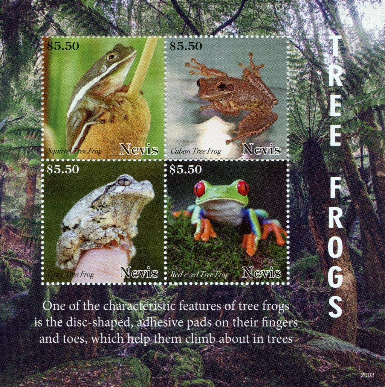 Nevis 2020 MNH Amphibians Stamps Tree Frogs Red-Eyed Tree Frog 4v M/S