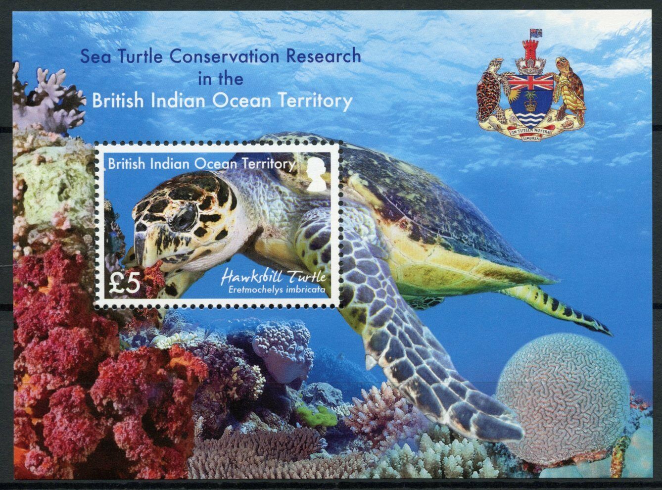 BIOT 2016 MNH Turtles Stamps Sea Turtle Research Conservation Hawksbill 1v M/S