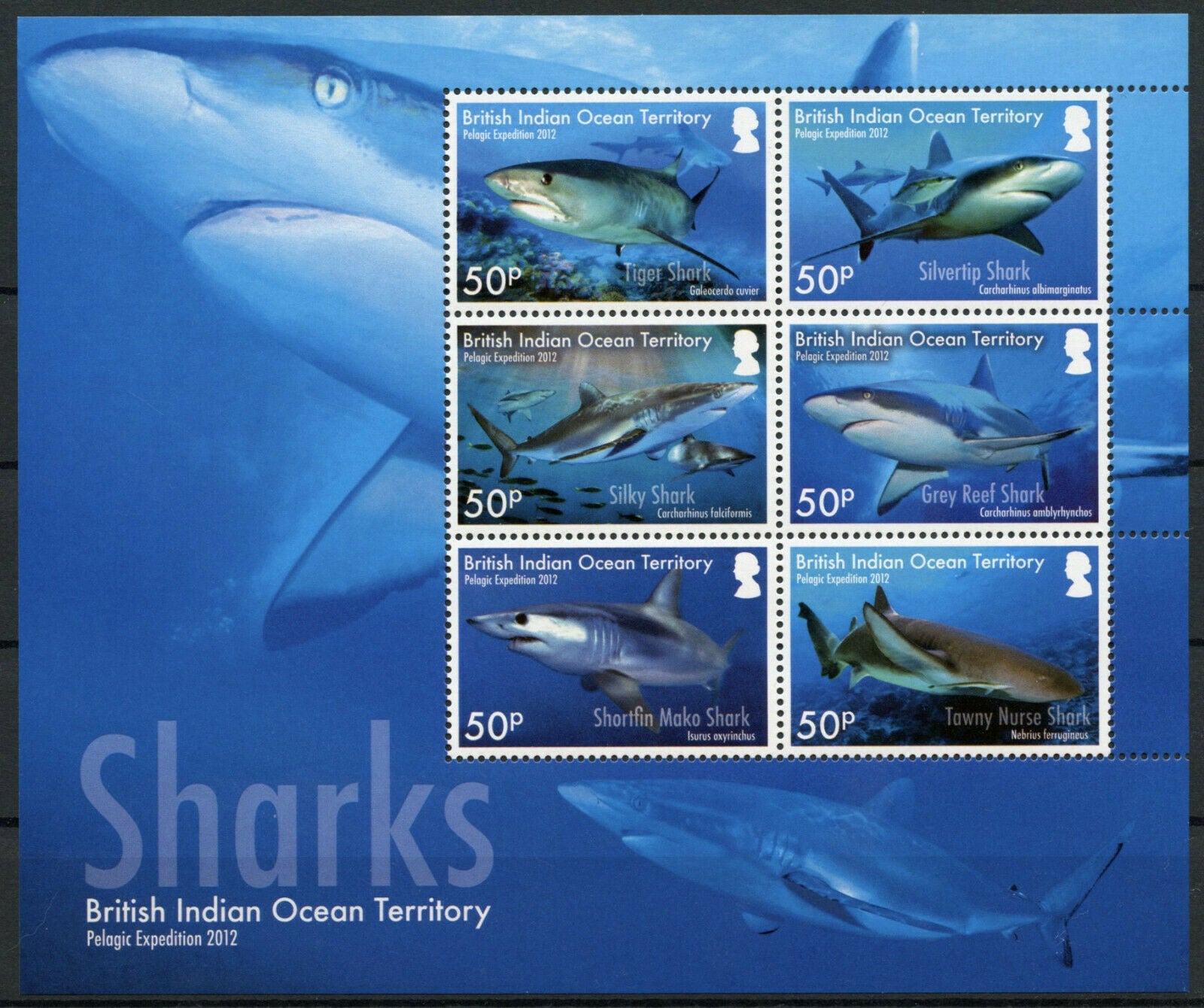 BIOT 2016 MNH Marine Animals Stamps Sharks Tiger Shark Pelagic Expedition 6v M/S