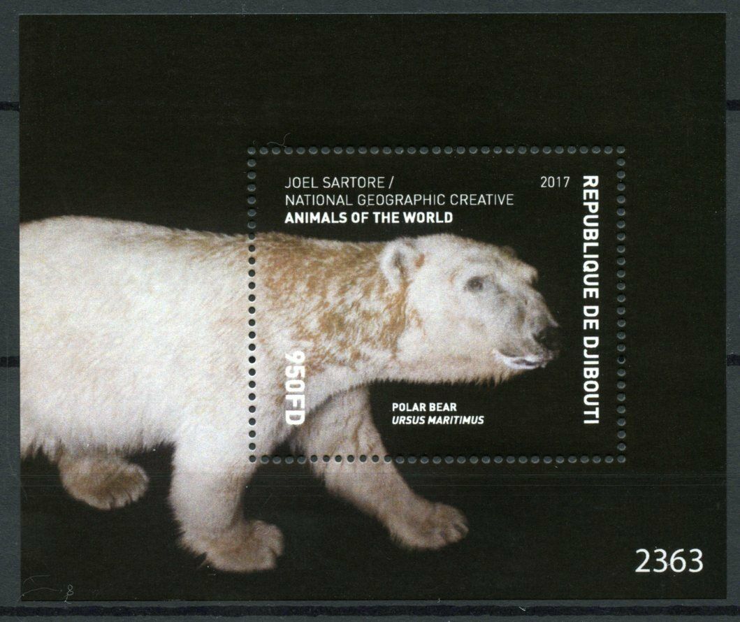 Djibouti Animals of the World Stamps 2017 MNH Polar Bears Natl Geographic 1v S/S