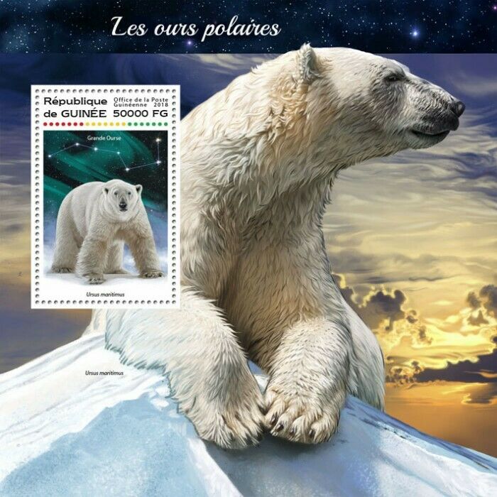 Guinea 2018 MNH Wild Animals Stamps Polar Bears Bear Mammals Fauna 1v S/S