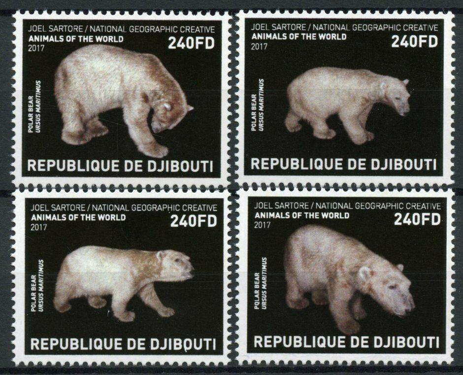 Djibouti Animals of the World Stamps 2017 MNH Polar Bears Natl Geographic 4v Set