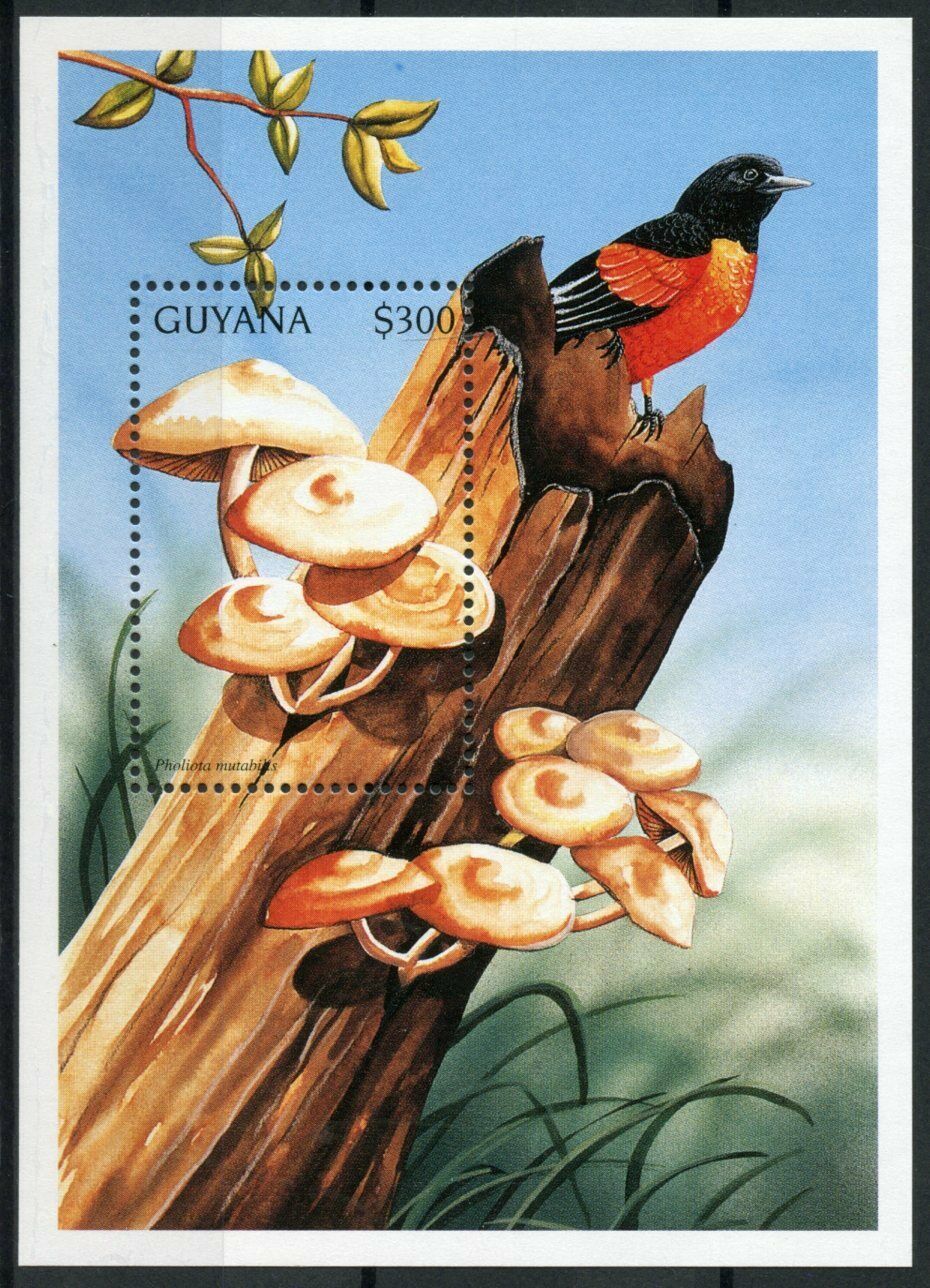 Guyana 1997 MNH Mushrooms Stamps Pholiota Mushroom Fungi Birds 1v S/S I