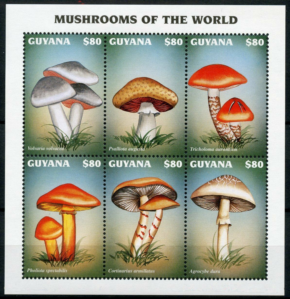 Guyana Mushrooms Stamps 1997 MNH Pholiota Volvaria Mushroom Fungi 6v M/S II