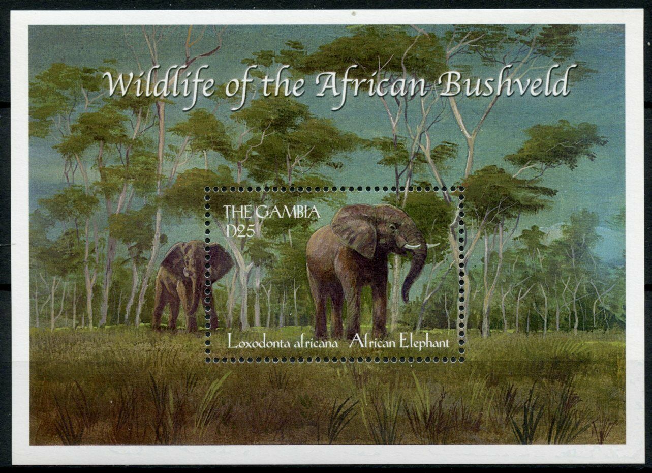 Gambia 2000 MNH Wild Animals Stamps Wildlife African Bushveld Elephants 1v S/S