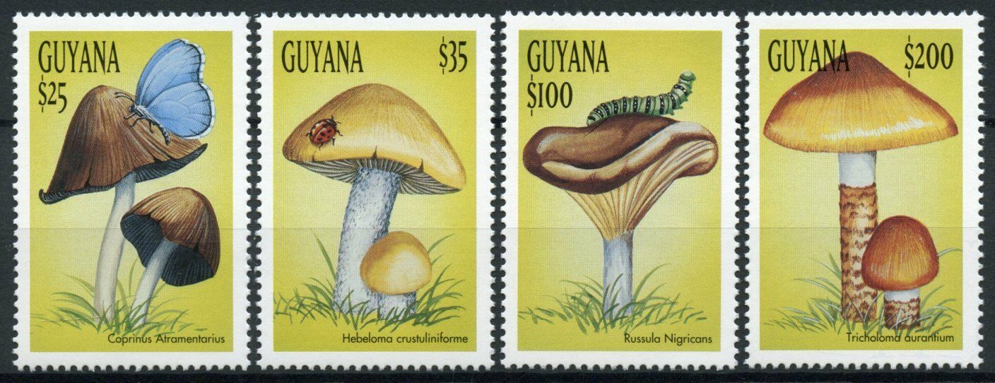 Guyana 1999 MNH Mushrooms Stamps Mushroom Fungi Butterflies Beetles 4v Set