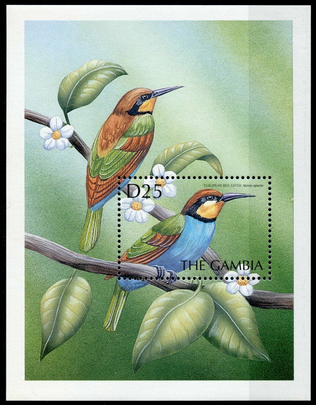 Gambia 2000 MNH Birds on Stamps Bee-Eaters European Bee-Eater 1v S/S