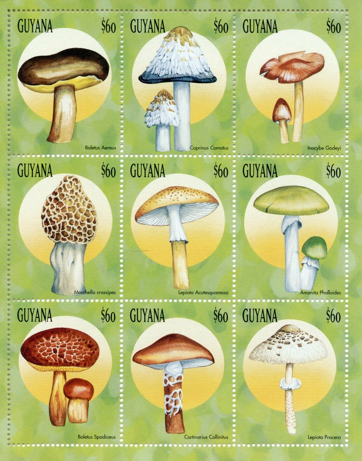 Guyana 1999 MNH Mushrooms Stamps Fungi Boletus Mushroom Nature 9v M/S I