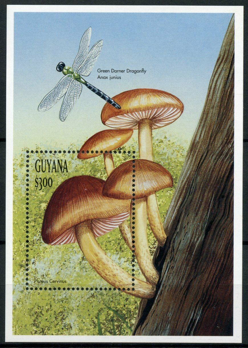 Guyana Mushrooms Stamps 1999 MNH Fungi Mushroom Dragonflies Nature 1v S/S II