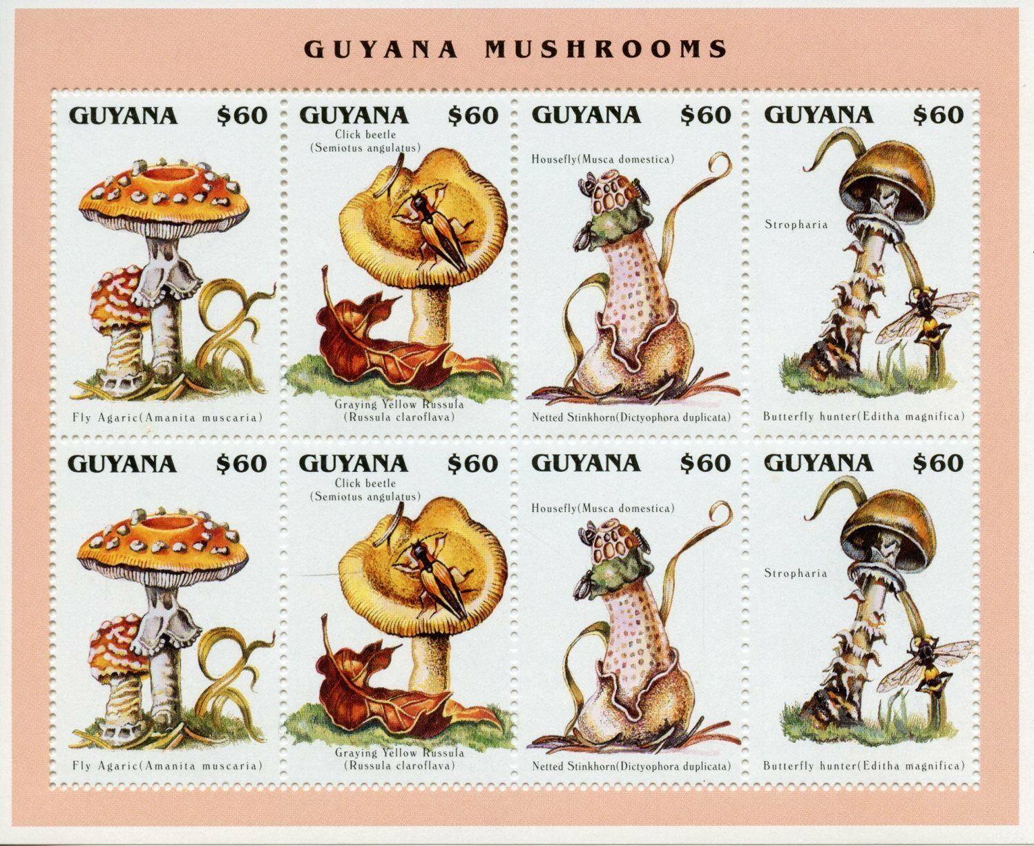 Guyana 1996 MNH Mushrooms Stamps Fly Agaric Stinkhorn Mushroom Fungi 8v M/S III
