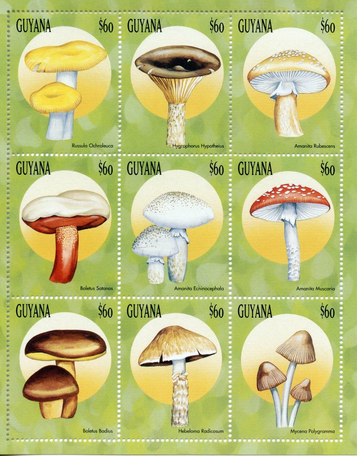 Guyana 1999 MNH Mushrooms Stamps Fungi Fly Agaric Mushroom Nature 9v M/S II