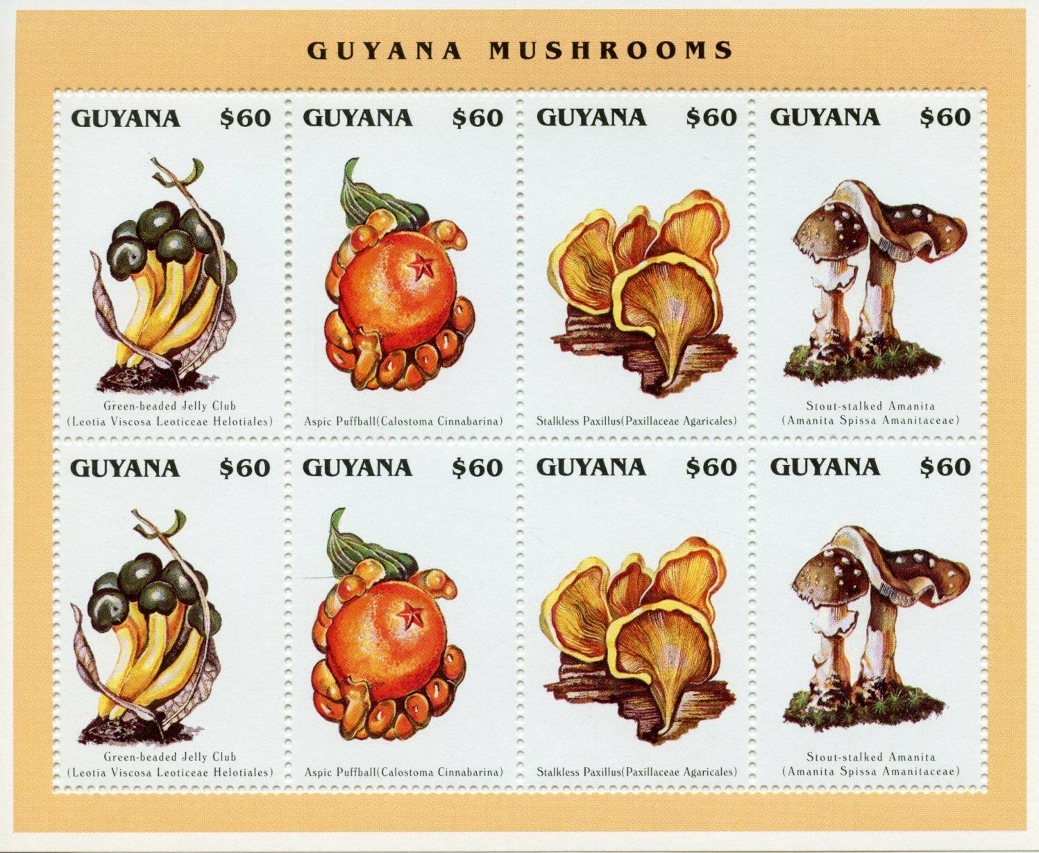 Guyana Mushrooms Stamps 1996 MNH Amanita Puffball Mushroom Fungi 8v M/S IV