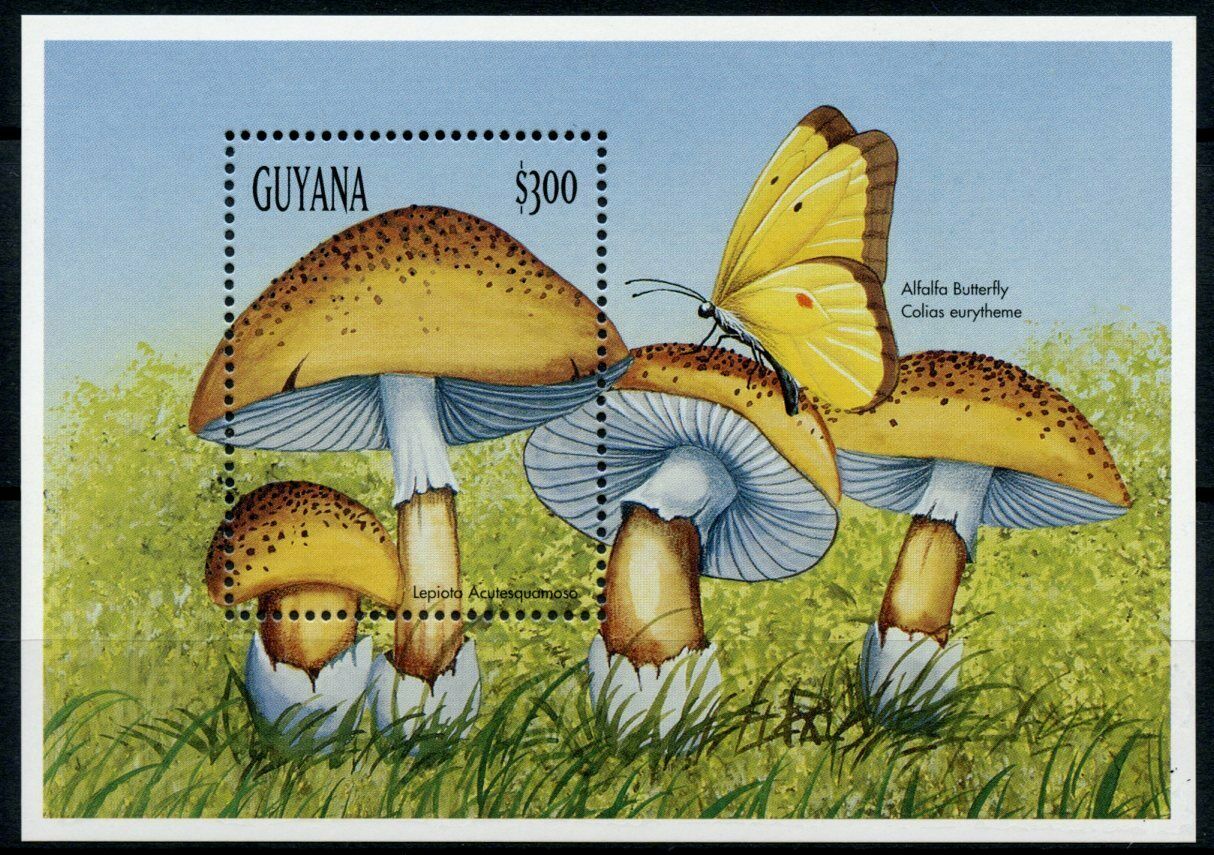Guyana 1999 MNH Mushrooms Stamps Fungi Mushroom Butterflies Nature 1v S/S I