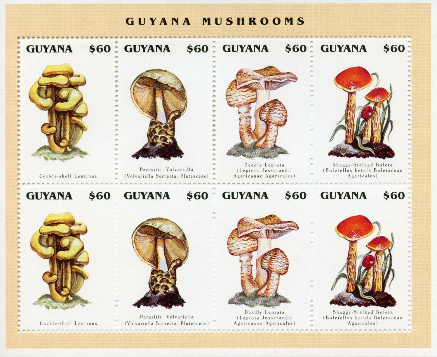 Guyana 1996 MNH Mushrooms Stamps Boleta Lepiota Mushroom Fungi 8v M/S II