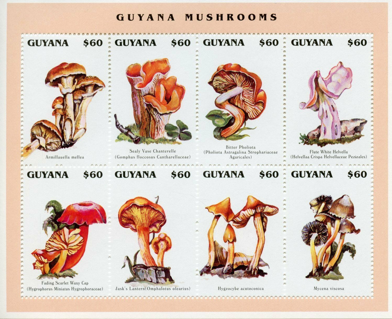 Guyana Mushrooms Stamps 1996 MNH Chanterelle Helvella Pholiota Mushroom 8v M/S I