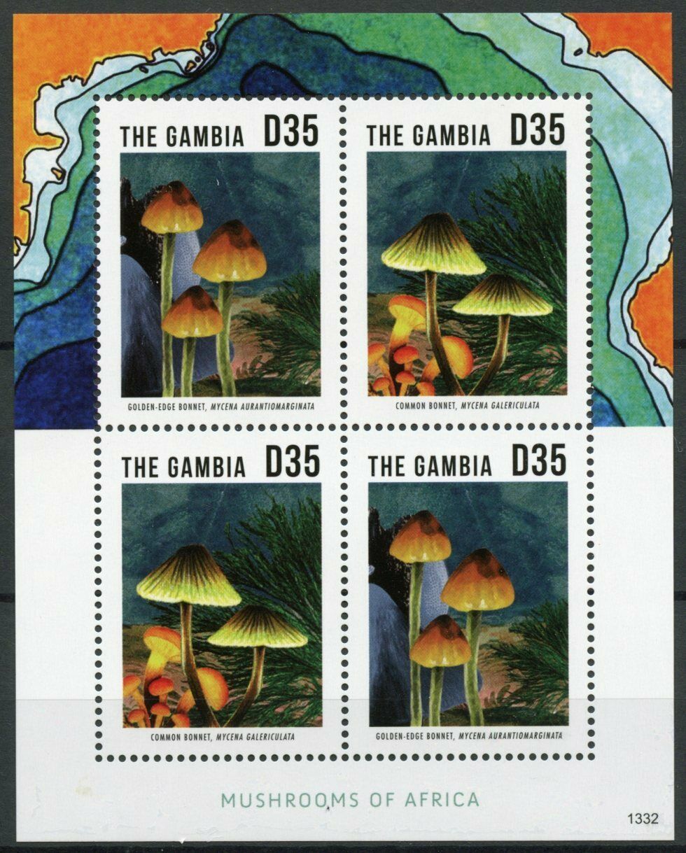 Gambia 2013 MNH Mushrooms of Africa Stamps Fungi Golden-Edge Bonnet 4v M/S