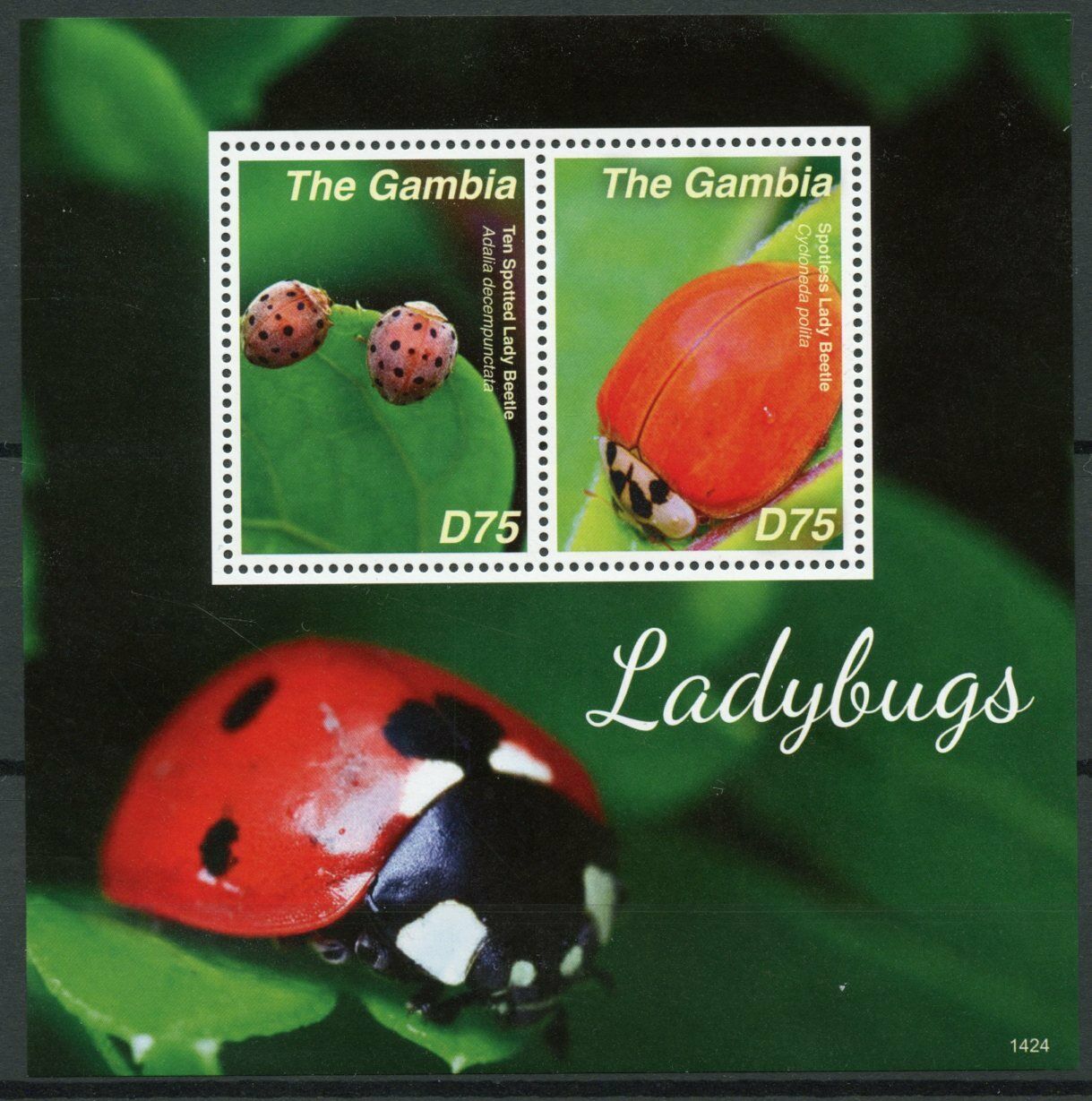 Gambia 2014 MNH Insects Stamps Ladybugs Ladybirds Beetles 2v S/S I