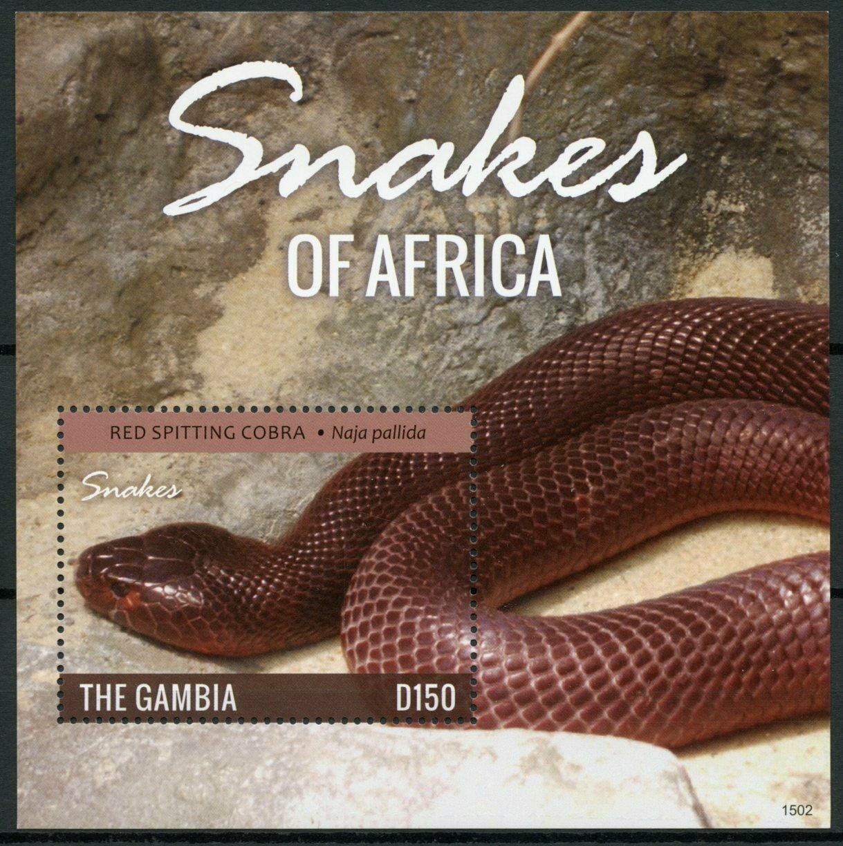 Gambia Reptiles Stamps 2015 MNH Snakes of Africa Red Spitting Cobra 1v S/S I