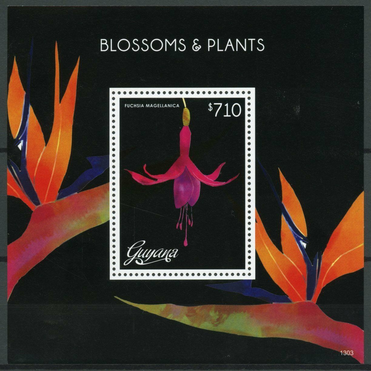 Guyana Flowers Stamps 2013 MNH Blossoms & Plants Fuchsia Magellanica 1v S/S II