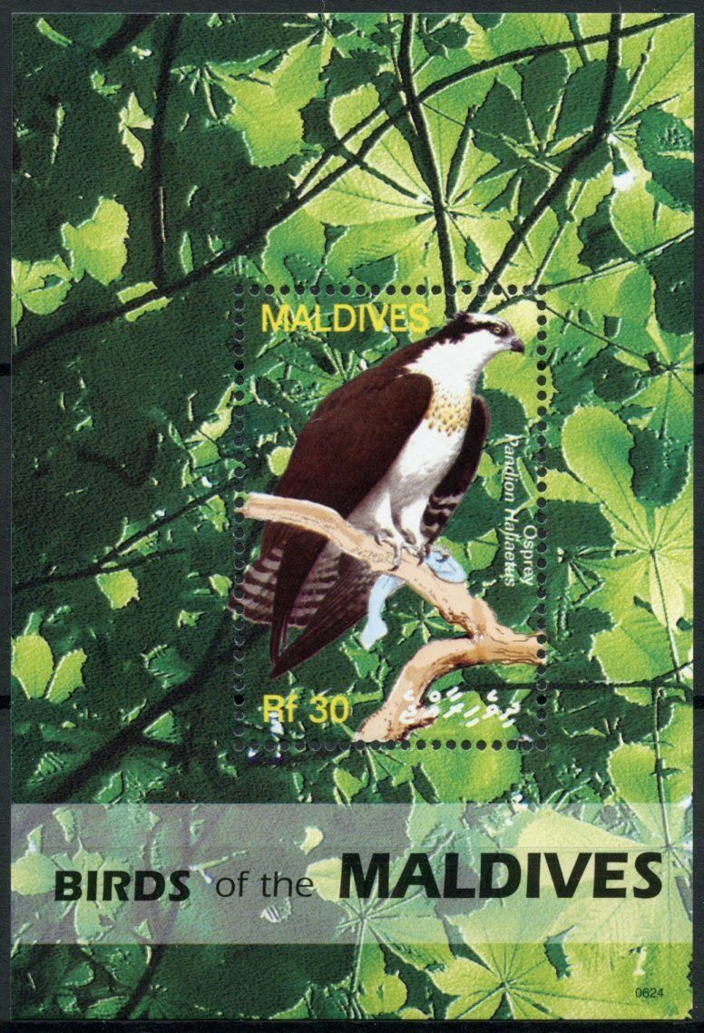 Maldives 2006 MNH Birds on Stamps Birds of Prey Ospreys Raptors 1v S/S III