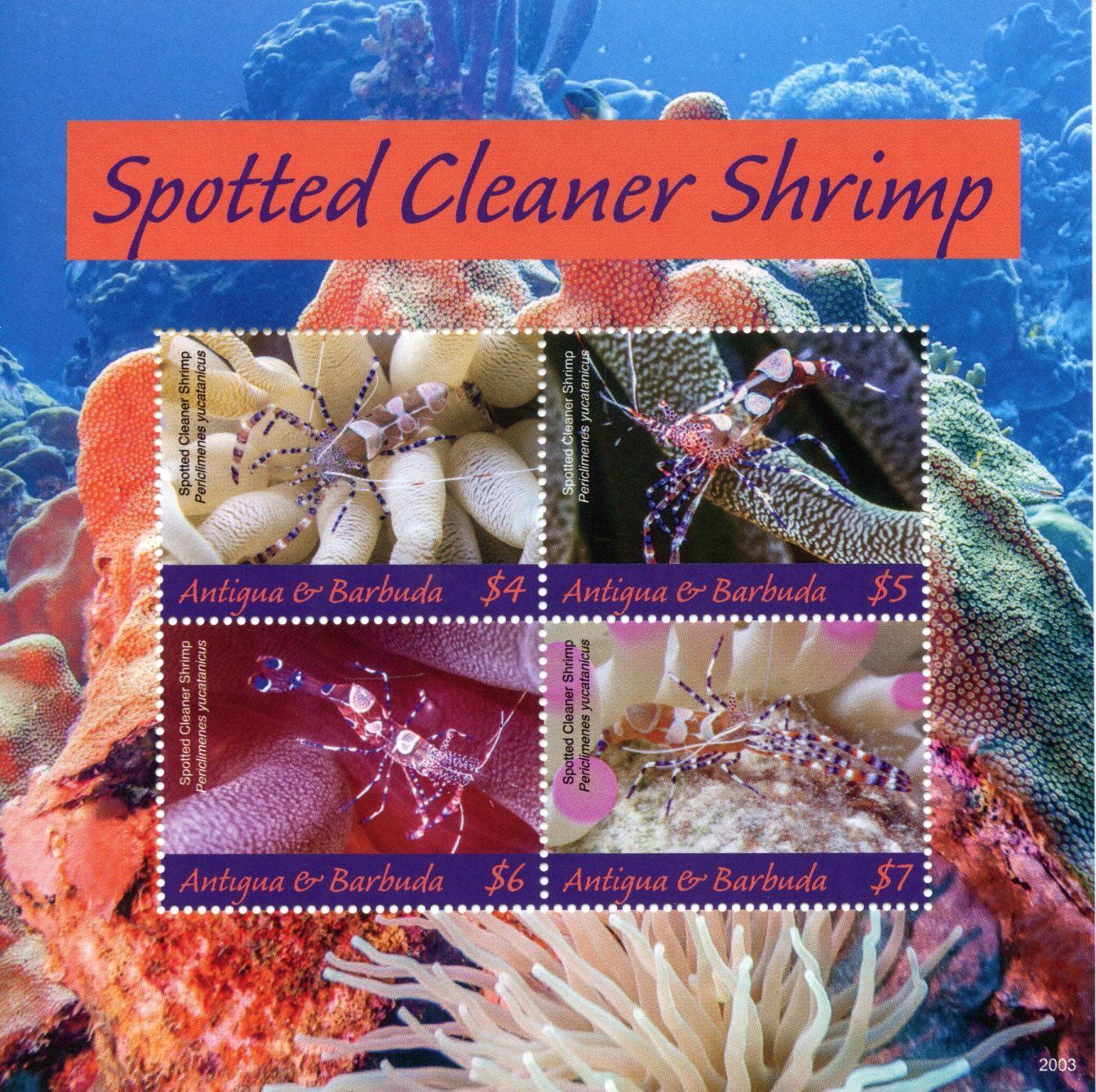 Antigua & Barbuda 2020 MNH Marine Animals Stamps Spotted Cleaner Shrimps 4v M/S