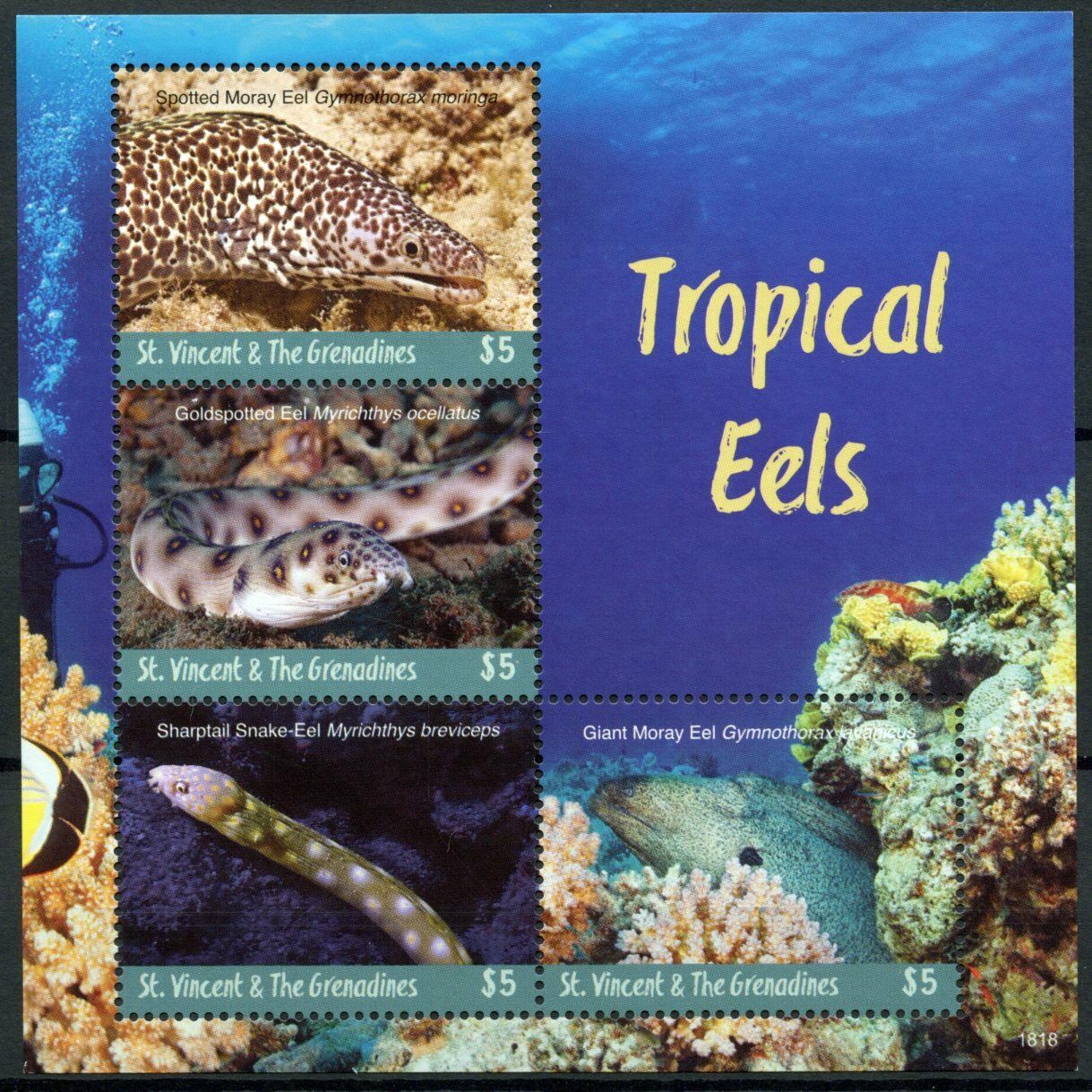 St Vincent & Grenadines Fish Stamps 2018 MNH Tropical Eels Moray Eel 4v M/S