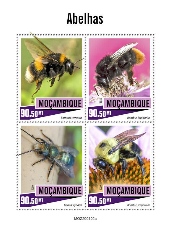 Mozambique Bees Stamps 2020 MNH Bumblebee Orchard Mason Bee Insects 4v M/S