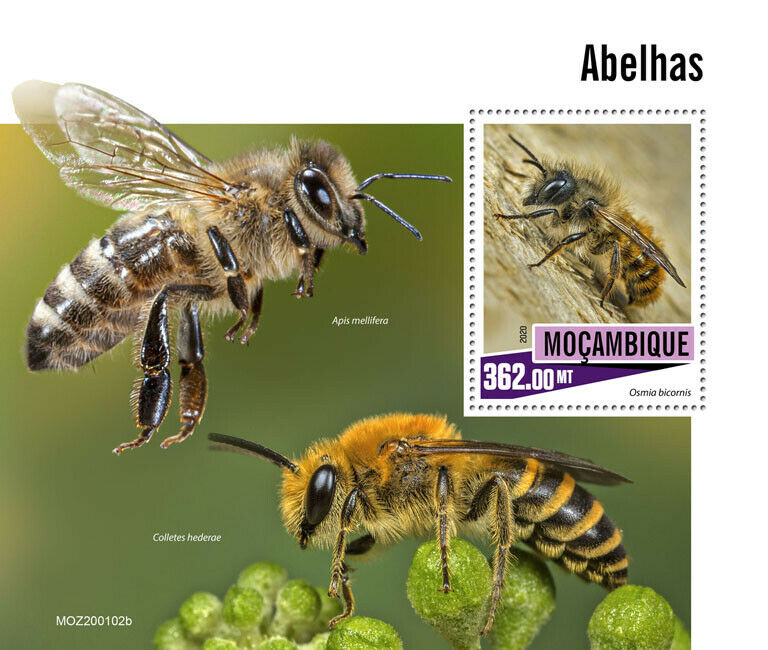 Mozambique Bees Stamps 2020 MNH Mason Honey Bee Insects Fauna 1v S/S