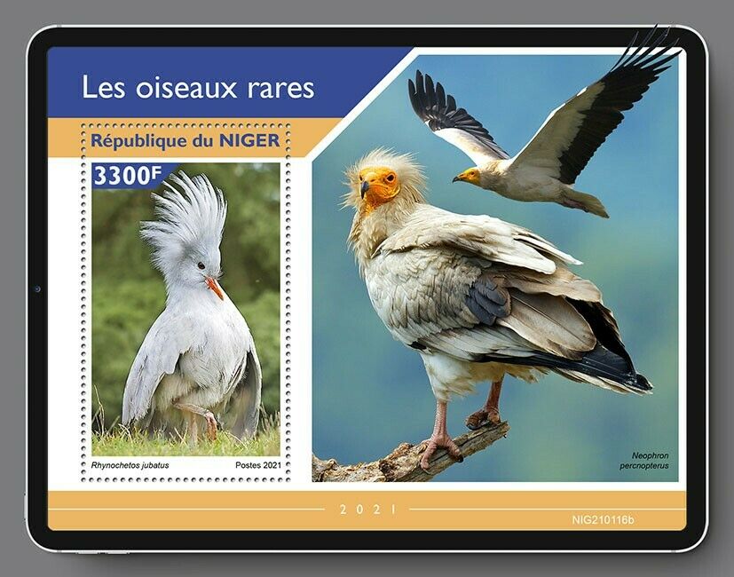 Niger Rare Birds on Stamps 2021 MNH Kagu Vultures Egyptian Vulture 1v S/S