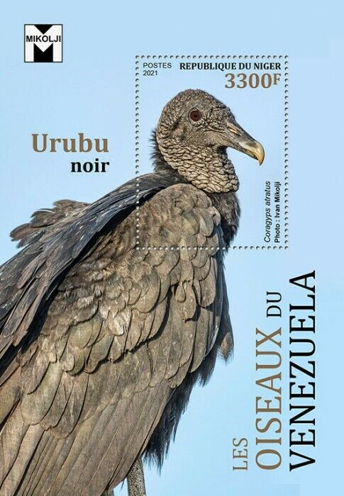 Niger Birds on Stamps 2021 MNH Birds of Venezuela Black Vultures Raptors 1v S/S