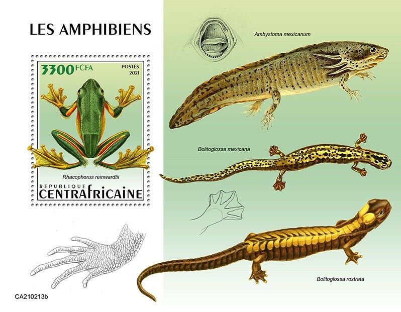 Central African Rep Amphibians Stamps 2021 MNH Frogs Salamanders Axolotl 1v S/S