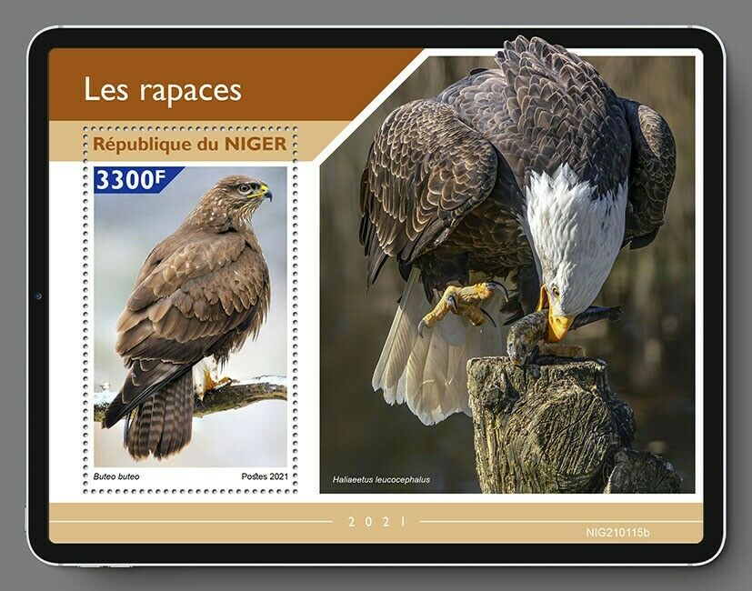 Niger Raptors Stamps 2021 MNH Birds of Prey Buzzards Bald Eagles 1v S/S