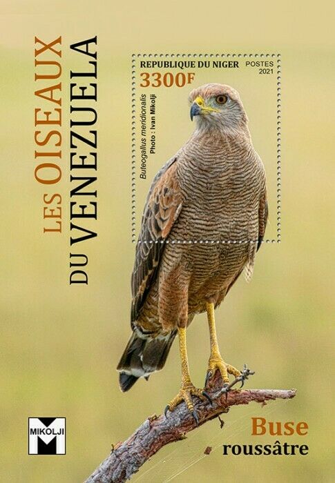 Niger Birds on Stamps 2021 MNH Birds of Venezuela Savanna Hawk Hawks 1v S/S