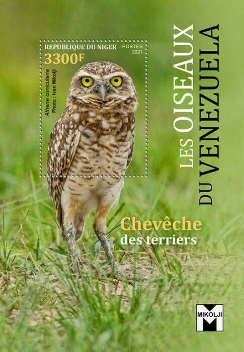 Niger Birds on Stamps 2021 MNH Birds of Venezuela Burrowing Owl Owls 1v S/S