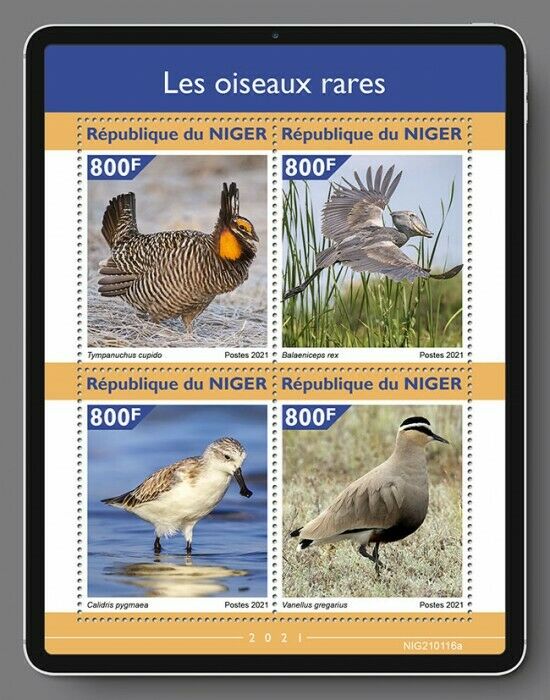 Niger Rare Birds on Stamps 2021 MNH Shoebill Lapwings Sandpipers Waders 4v M/S