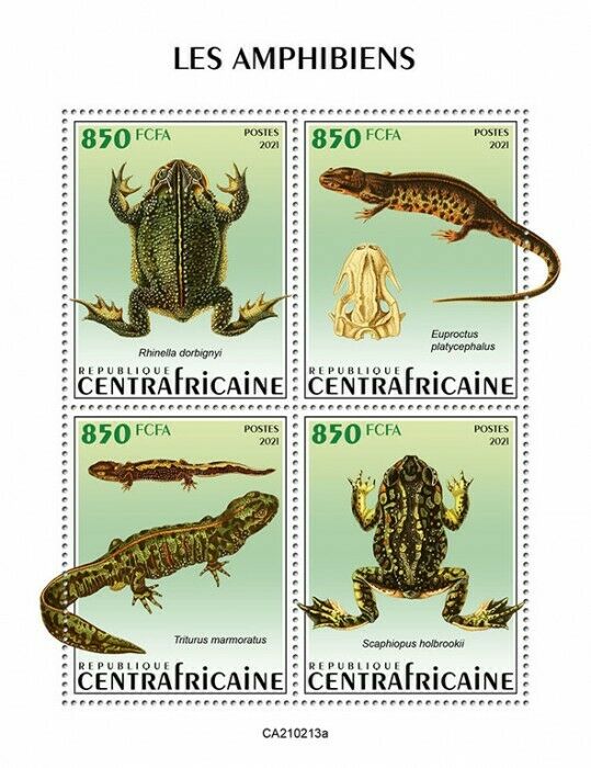 Central African Rep Amphibians Stamps 2021 MNH Toads Frogs Salamanders 4v M/S