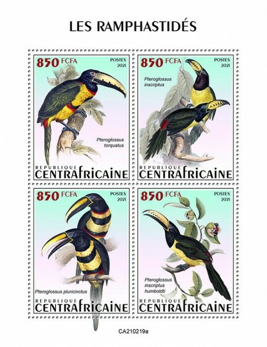 Central African Rep 2021 MNH Birds on Stamps Toucans Toucan Ramphastidae 4v M/S