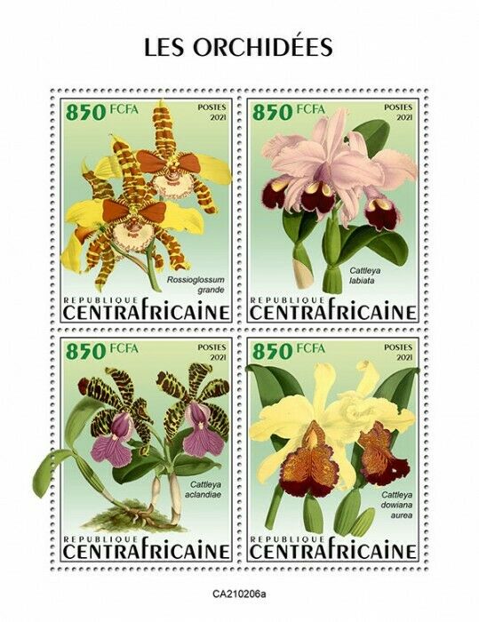 Central African Rep Flowers Stamps 2021 MNH Orchids Cattleya Orchid Flora 4v M/S