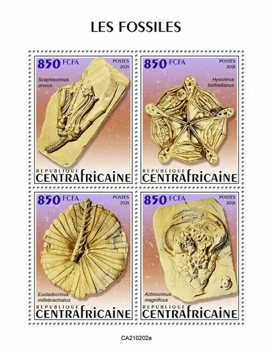 Central African Republic Fossils Stamps 2021 MNH Prehistoric Animals 4v M/S