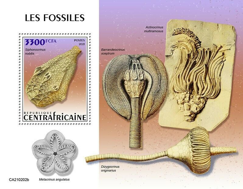 Central African Republic Fossils Stamps 2021 MNH Prehistoric Animals 1v S/S