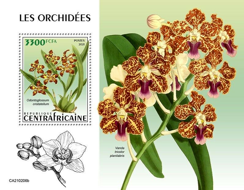 Central African Rep Flowers Stamps 2021 MNH Orchids Odontoglossum Orchid 1v S/S