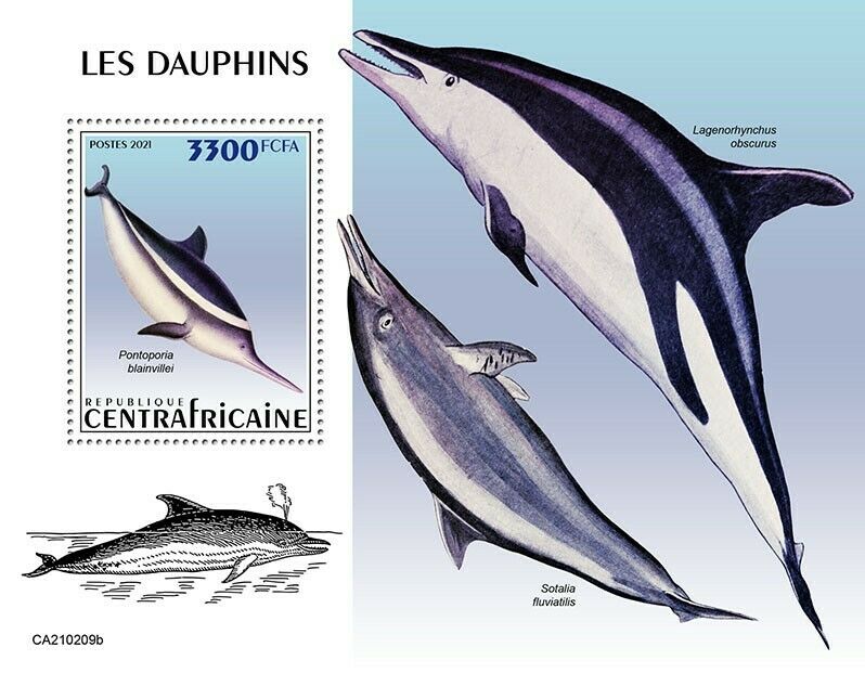 Central African Rep Marine Animals Stamps 2021 MNH Dolphins Dolphin 1v S/S