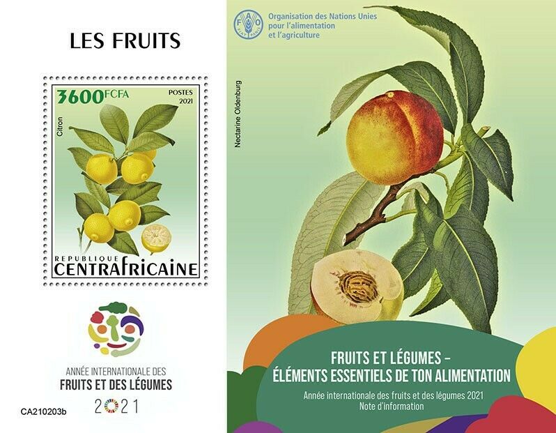 Central African Rep Fruits Stamps 2021 MNH Intl Year Fruit & Vegetables 1v S/S