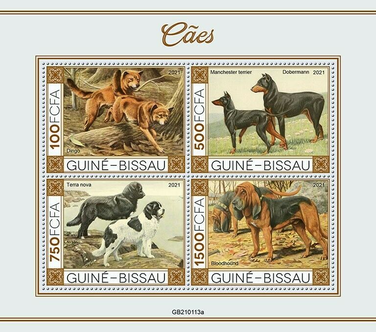 Guinea-Bissau 2021 MNH Dogs Stamps Dingo Bloodhound Newfoundland Dog 4v M/S I