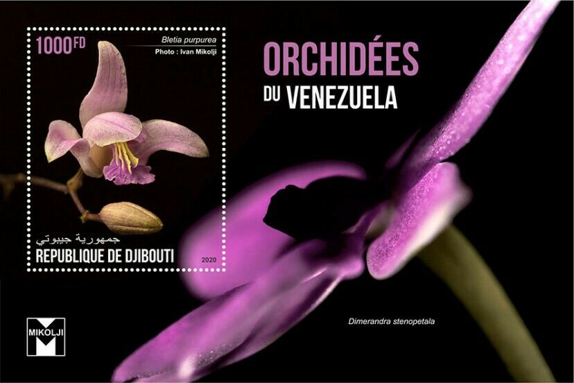 Djibouti Flowers Stamps 2020 MNH Orchids of Venezuela Flora Nature 1v S/S III