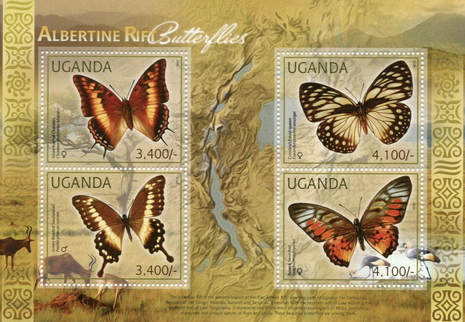 Uganda Butterflies Stamps 2012 MNH Albertine Rift Butterfly Fauna 4v M/S