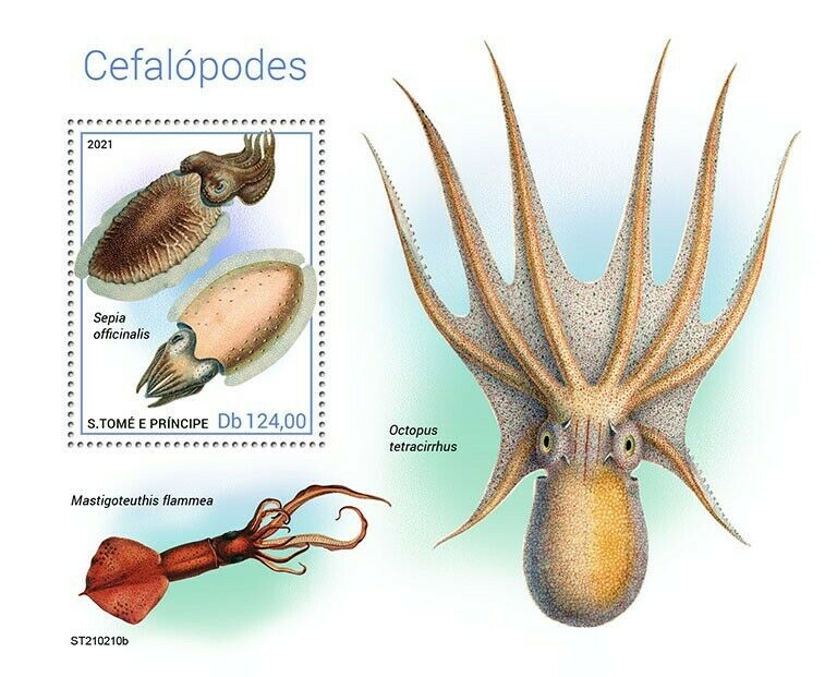 Sao Tome & Principe 2021 MNH Marine Animals Stamps Cephalopods Octopus 1v S/S