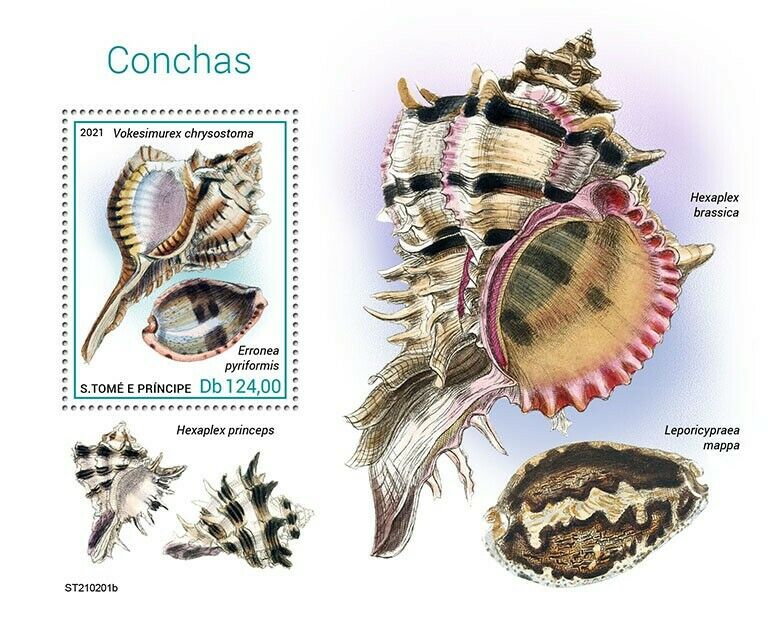 Sao Tome & Principe 2021 MNH Seashells Stamps Shells Marine Animals 1v S/S