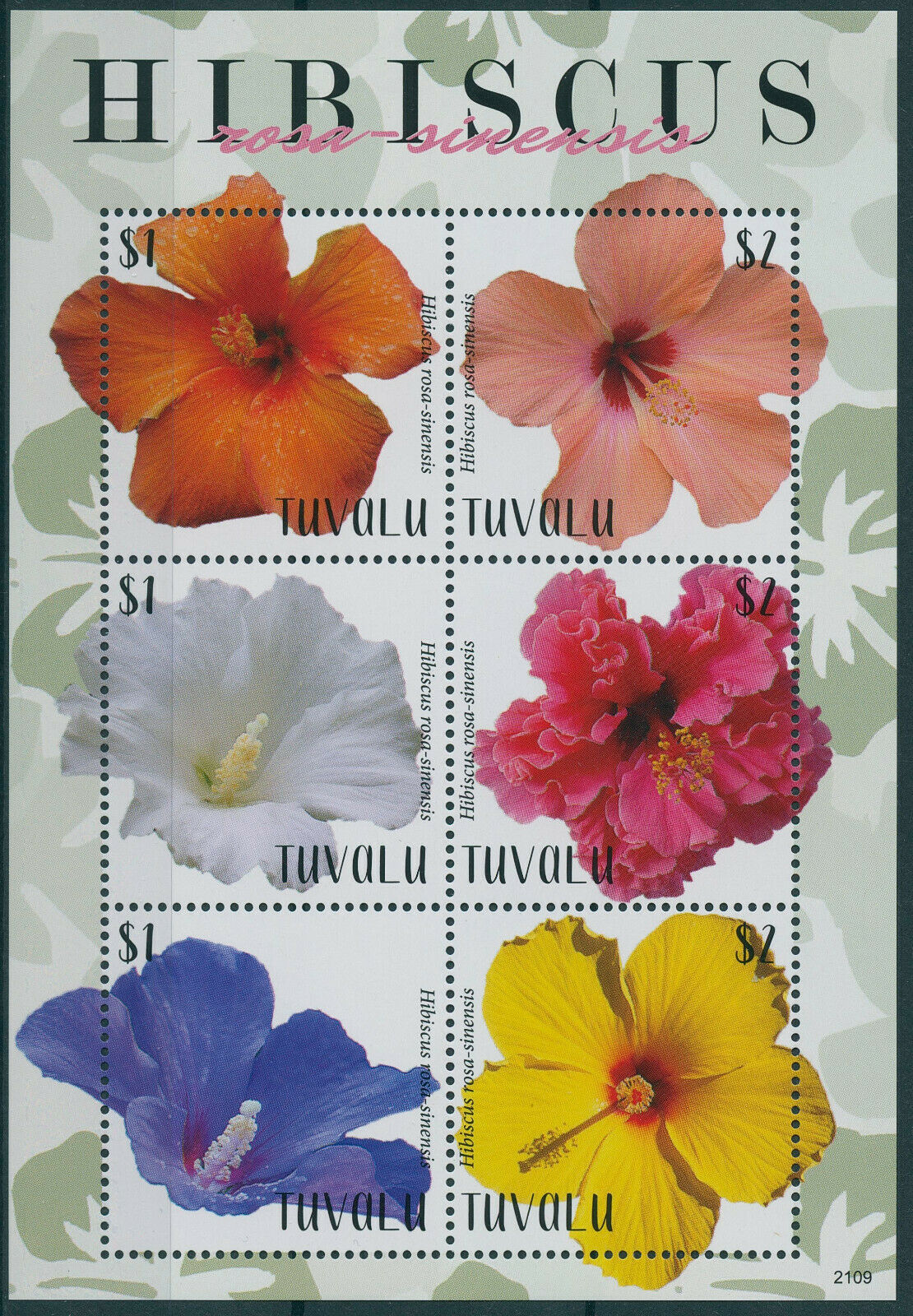 Tuvalu 2021 MNH Flowers Stamps Hibiscus Flora Rosa sinensis 6v M/S