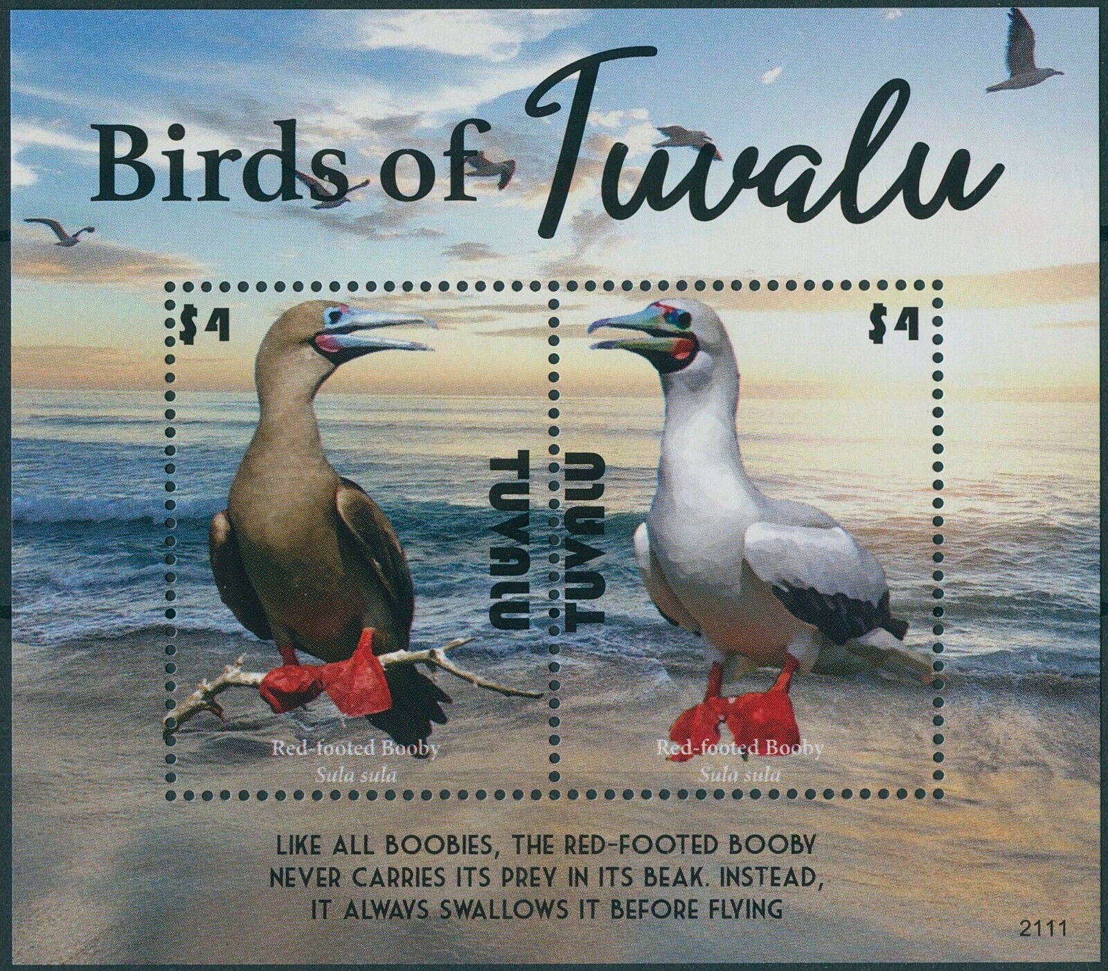 Tuvalu 2021 MNH Birds Stamps Boobies Red-Footed Booby 2v S/S